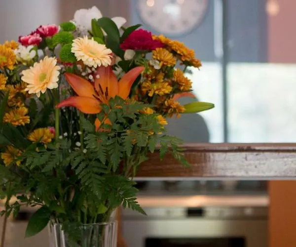 Lejlighed Cozy - Cedofeita 436