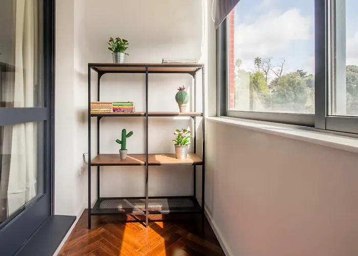 Cozy - Cedofeita 436 Apartman *