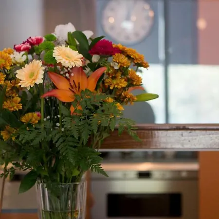 Apartamento Cozy - Cedofeita 436